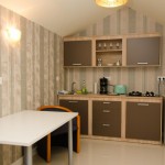 Apartments for rent Grun Haus Studio Sibiu