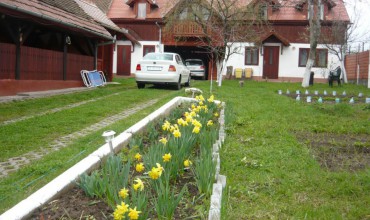 Marginimea Sibiului Pensiunea Casa cu Livada Saliste